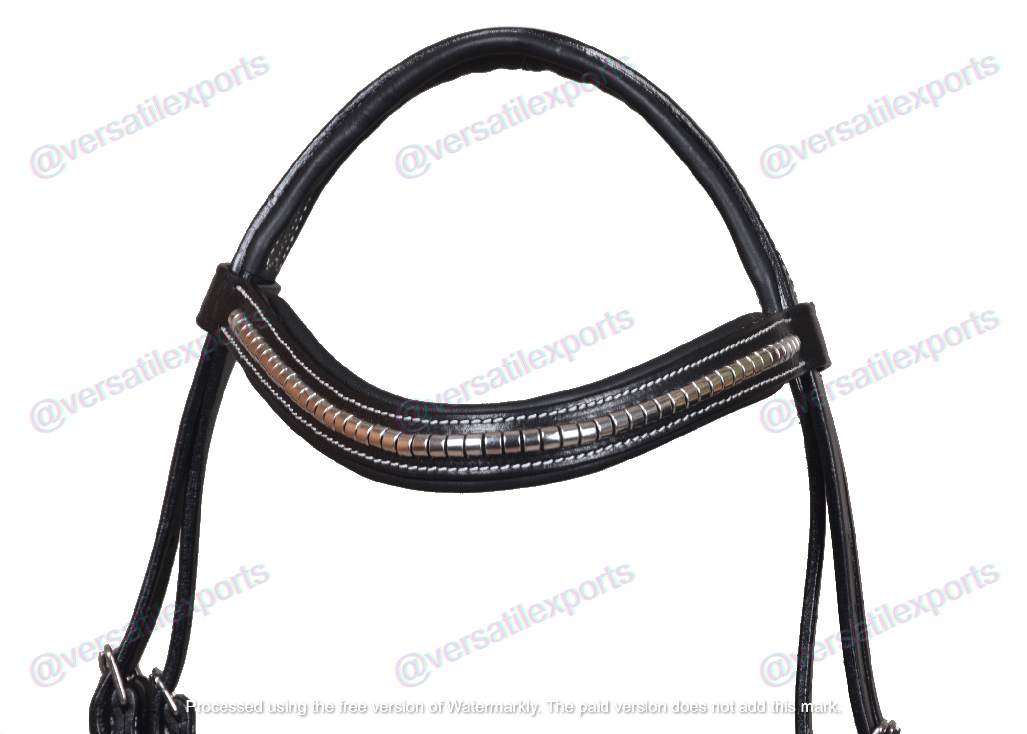 Bridle with Clinches